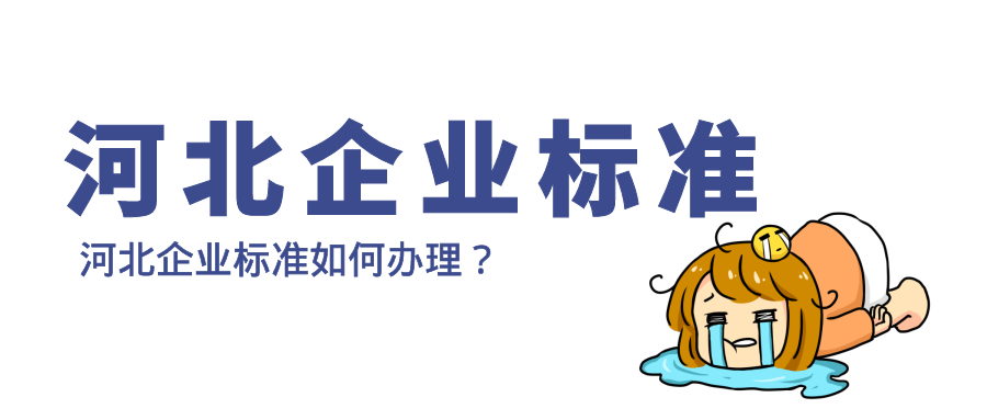 河北企业标准如何办理？