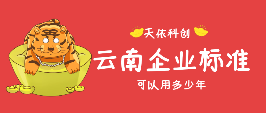 云南企业标准可以用多少年？